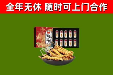 宜城回收冬虫夏草价格
